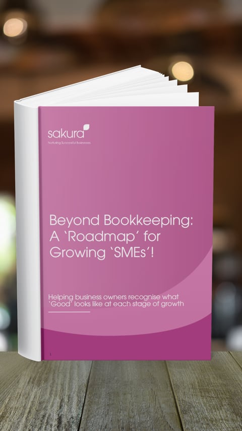 Book Mockup- Beyond Bookkepping Roadmap